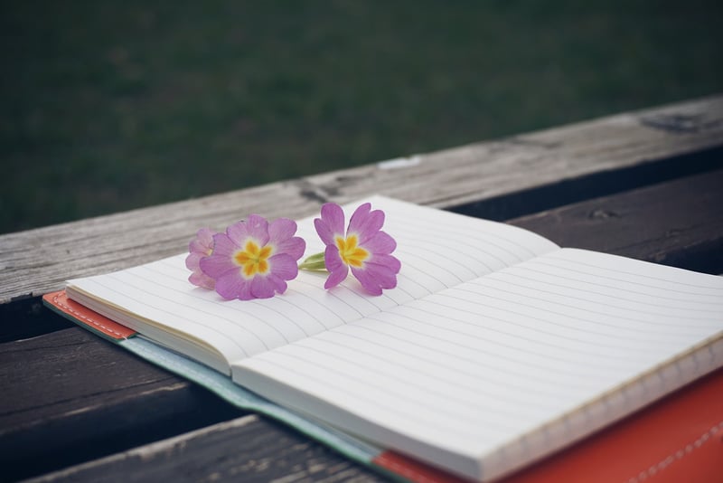 Journaling